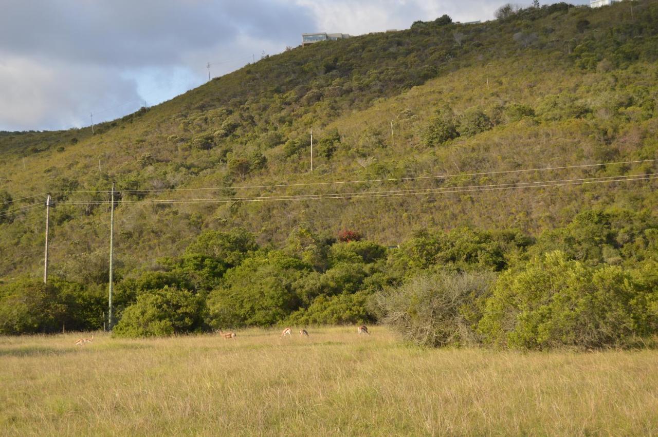 Matjesfontein Estate Keurbooms Chalet Plettenberg Bay Zewnętrze zdjęcie